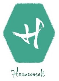 H Hexaconsult_logo