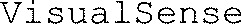 VisualSense_logo