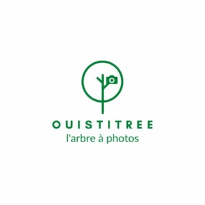 OUISTITREE l'arbre à photos_logo