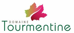 DOMAINE Tourmentine_logo