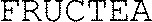 FMARK0000000005004240