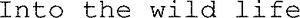 Into the wild life_logo