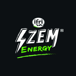 ifri ZEM ENERGY_logo