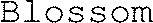 FMARK0000000005056220