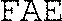 FAE_logo