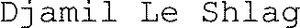 Djamil Le Shlag_logo