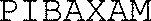 PIBAXAM_logo
