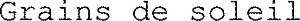 Grains de soleil_logo