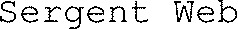 Sergent Web_logo