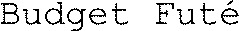 Budget Futé _logo