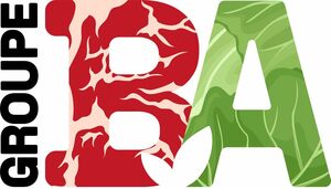 GROUPE BA_logo