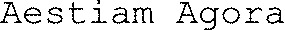 Aestiam Agora_logo