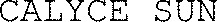 CALYCE SUN_logo