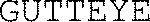 GUTTEYE_logo