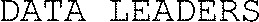 DATA LEADERS_logo
